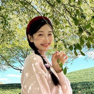 狐狸女士第二季
